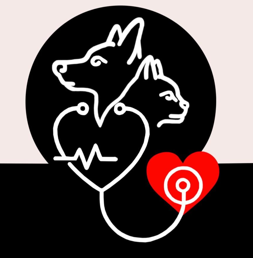 AMVET Logo